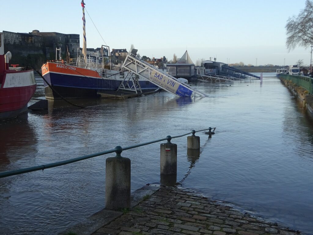 Le quai des Carmes et la cathédrale Saint-Maurice à Angers