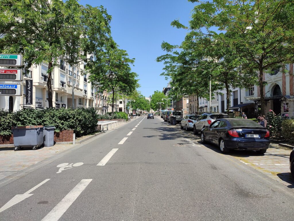 La rue Buirette et ses alignements d’arbres à Reims